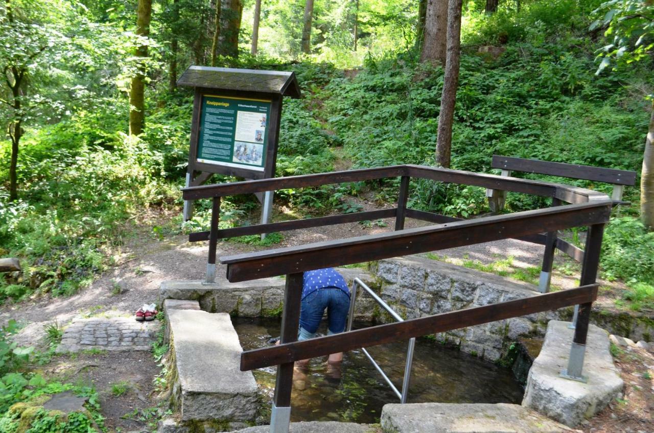 Waldoase Zimmersacher Eibenstock Bagian luar foto